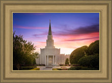 Load image into Gallery viewer, Houston Walk in the Light
