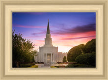 Load image into Gallery viewer, Houston Walk in the Light
