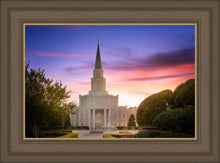 Load image into Gallery viewer, Houston Walk in the Light
