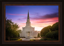 Load image into Gallery viewer, Houston Walk in the Light
