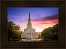 Load image into Gallery viewer, Houston Walk in the Light
