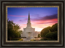 Load image into Gallery viewer, Houston Walk in the Light
