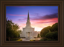 Load image into Gallery viewer, Houston Walk in the Light
