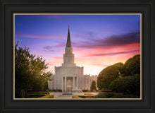 Load image into Gallery viewer, Houston Walk in the Light
