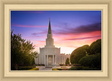 Load image into Gallery viewer, Houston Walk in the Light
