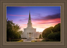 Load image into Gallery viewer, Houston Walk in the Light
