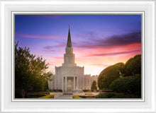 Load image into Gallery viewer, Houston Walk in the Light
