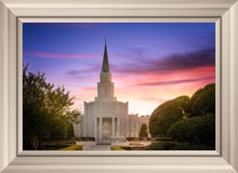 Load image into Gallery viewer, Houston Walk in the Light
