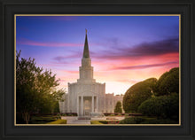 Load image into Gallery viewer, Houston Walk in the Light

