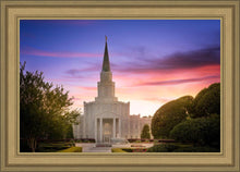 Load image into Gallery viewer, Houston Walk in the Light
