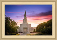 Load image into Gallery viewer, Houston Walk in the Light
