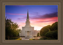 Load image into Gallery viewer, Houston Walk in the Light
