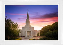 Load image into Gallery viewer, Houston Walk in the Light

