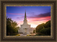 Load image into Gallery viewer, Houston Walk in the Light
