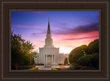 Load image into Gallery viewer, Houston Walk in the Light
