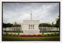 Load image into Gallery viewer, Louisville Day
