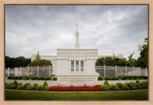 Load image into Gallery viewer, Louisville Day
