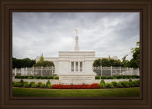 Load image into Gallery viewer, Louisville Day
