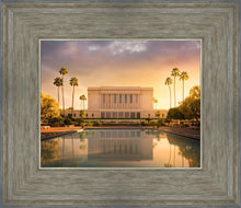 Load image into Gallery viewer, Mesa Gold Plated
