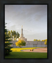 Load image into Gallery viewer, Bismarck Golden Glow
