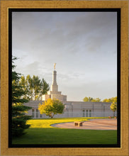 Load image into Gallery viewer, Bismarck Golden Glow
