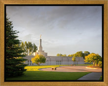 Load image into Gallery viewer, Bismarck Golden Glow
