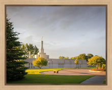 Load image into Gallery viewer, Bismarck Golden Glow
