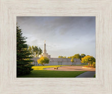 Load image into Gallery viewer, Bismarck Golden Glow
