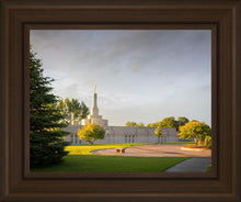 Load image into Gallery viewer, Bismarck Golden Glow
