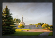 Load image into Gallery viewer, Bismarck Golden Glow
