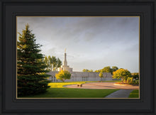 Load image into Gallery viewer, Bismarck Golden Glow
