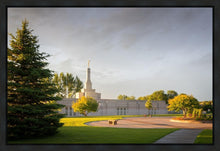 Load image into Gallery viewer, Bismarck Golden Glow
