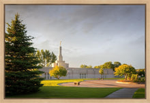 Load image into Gallery viewer, Bismarck Golden Glow
