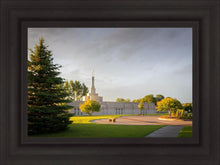 Load image into Gallery viewer, Bismarck Golden Glow
