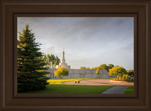Load image into Gallery viewer, Bismarck Golden Glow
