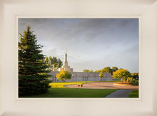 Load image into Gallery viewer, Bismarck Golden Glow
