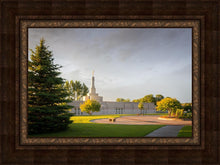 Load image into Gallery viewer, Bismarck Golden Glow
