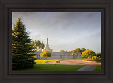 Load image into Gallery viewer, Bismarck Golden Glow
