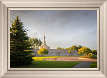 Load image into Gallery viewer, Bismarck Golden Glow
