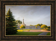 Load image into Gallery viewer, Bismarck Golden Glow
