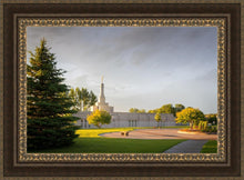 Load image into Gallery viewer, Bismarck Golden Glow
