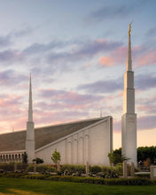 Load image into Gallery viewer, Boise Springtime

