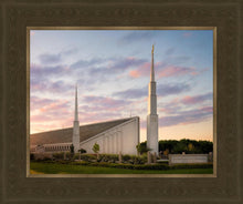 Load image into Gallery viewer, Boise Springtime

