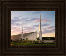 Load image into Gallery viewer, Boise Springtime
