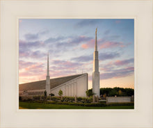 Load image into Gallery viewer, Boise Springtime
