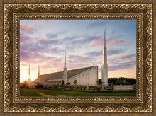 Load image into Gallery viewer, Boise Springtime
