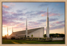 Load image into Gallery viewer, Boise Springtime
