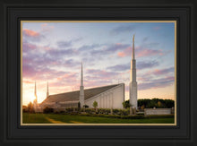 Load image into Gallery viewer, Boise Springtime
