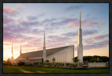 Load image into Gallery viewer, Boise Springtime
