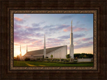 Load image into Gallery viewer, Boise Springtime
